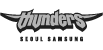 삼성썬더스 로고